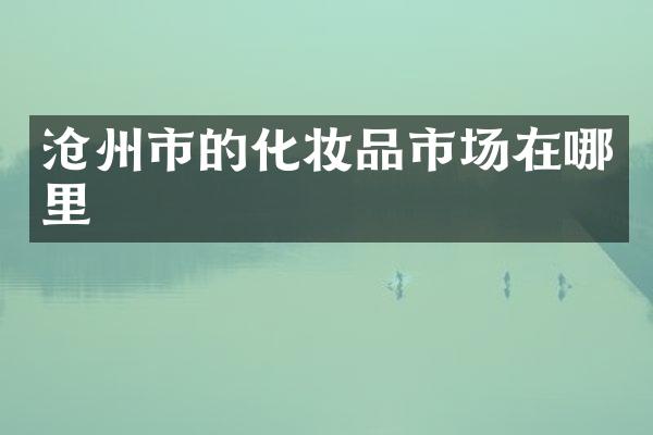 沧州市的化妆品市场在哪里