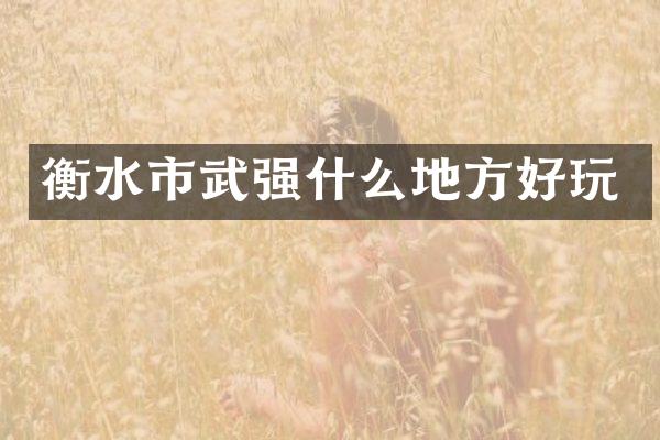 衡水市武强什么地方好玩