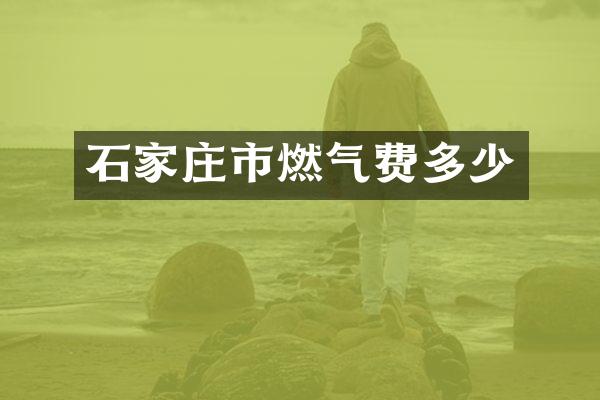 石家庄市燃气费多少