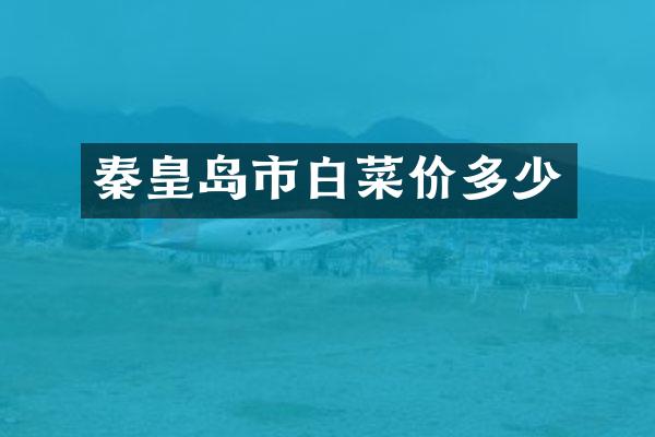 秦皇岛市白菜价多少