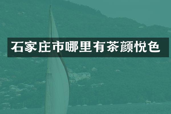 石家庄市哪里有茶颜悦色