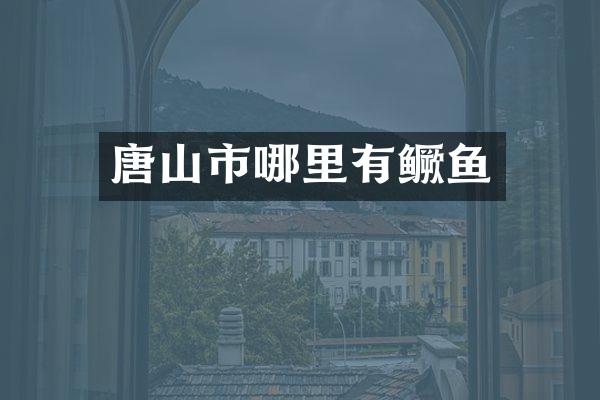 唐山市哪里有鳜鱼