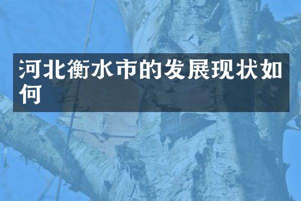 河北衡水市的发展现状如何