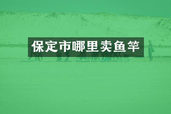 保定市哪里卖鱼竿