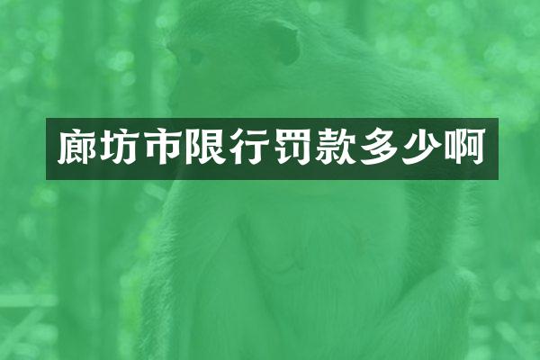 廊坊市限行罚款多少啊