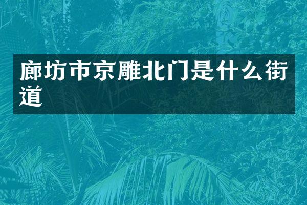 廊坊市京雕北门是什么街道
