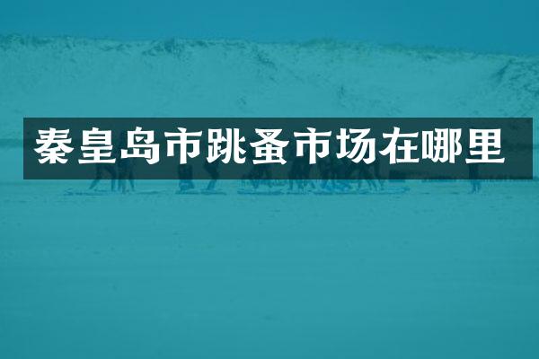 秦皇岛市跳蚤市场在哪里