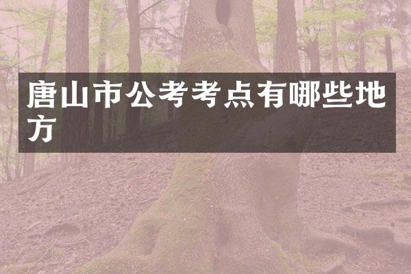 唐山市公考考点有哪些地方