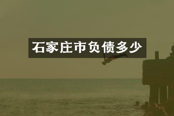 石家庄市负债多少