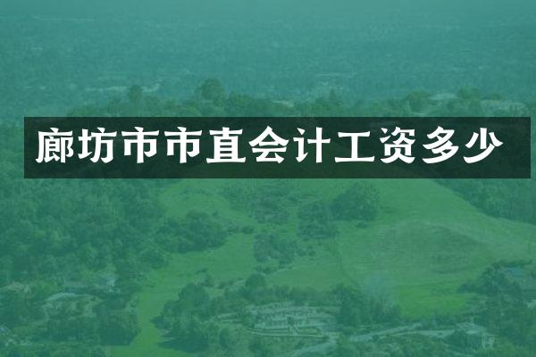 廊坊市市直会计工资多少
