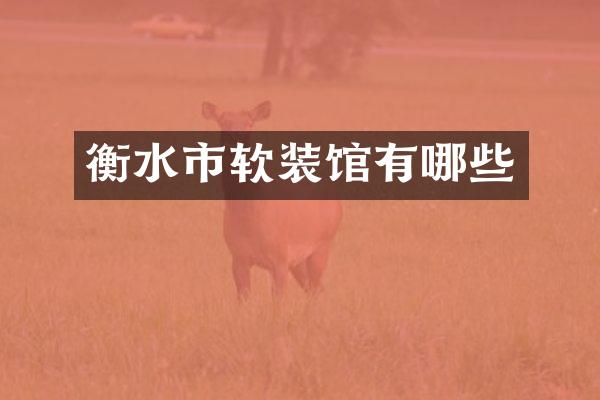 衡水市软装馆有哪些