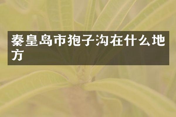秦皇岛市狍子沟在什么地方