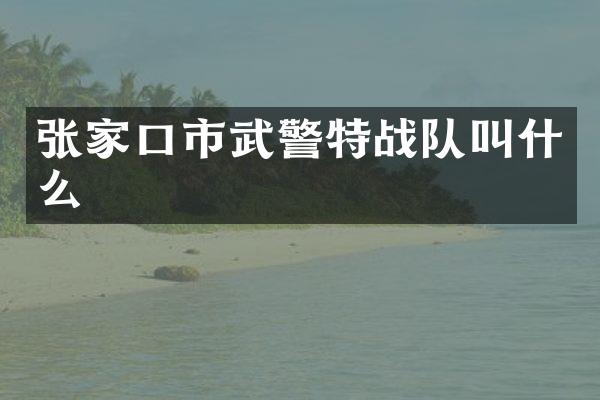 张家口市武警特战队叫什么