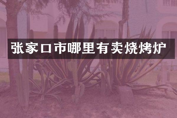 张家口市哪里有卖烧烤炉