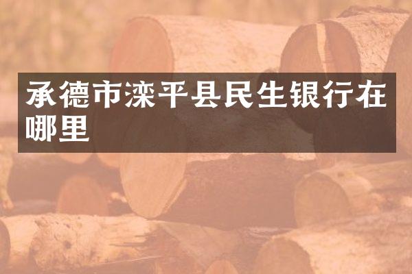 承德市滦平县民生银行在哪里
