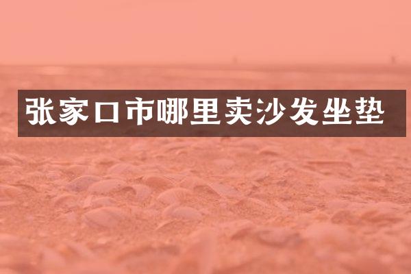 张家口市哪里卖沙发坐垫