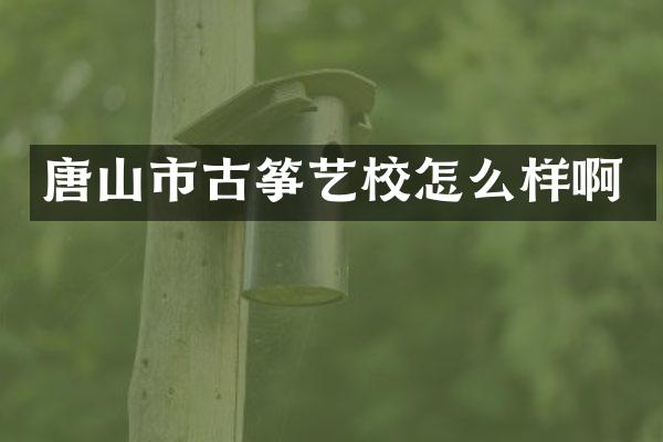 唐山市古筝艺校怎么样啊