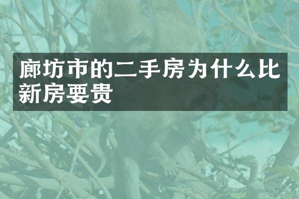 廊坊市的二手房为什么比新房要贵