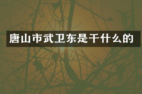 唐山市武卫东是干什么的