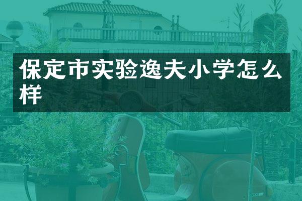 保定市实验逸夫小学怎么样
