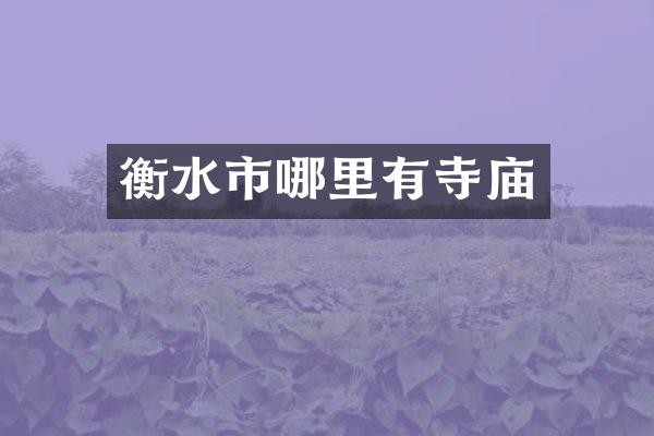 衡水市哪里有寺庙