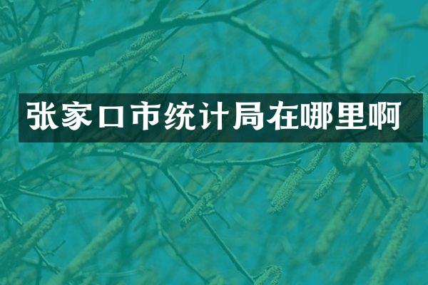 张家口市统计局在哪里啊