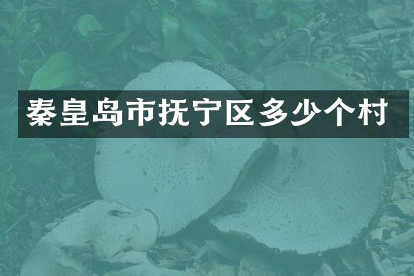 秦皇岛市抚宁区多少个村