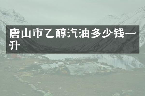 唐山市乙醇汽油多少钱一升