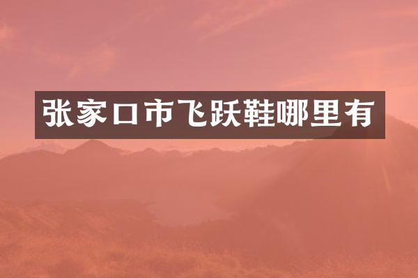 张家口市飞跃鞋哪里有