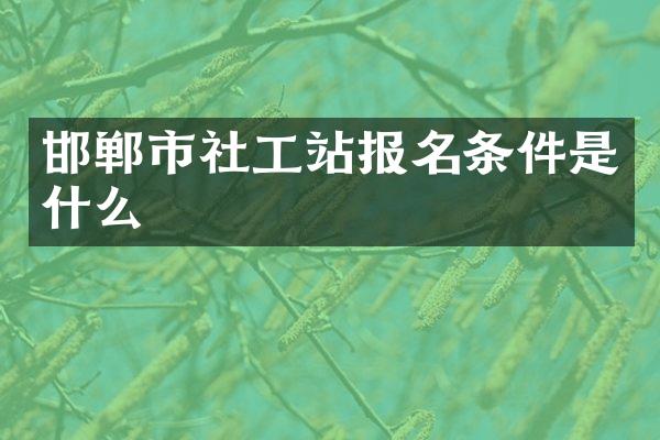 邯郸市社工站报名条件是什么