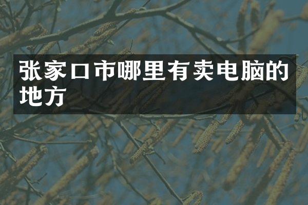 张家口市哪里有卖电脑的地方