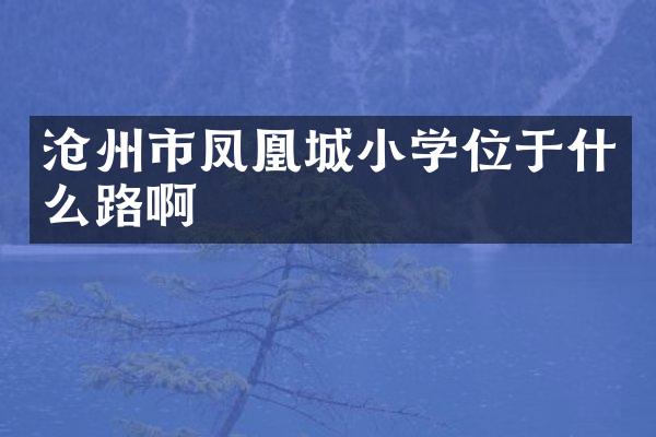 沧州市凤凰城小学位于什么路啊