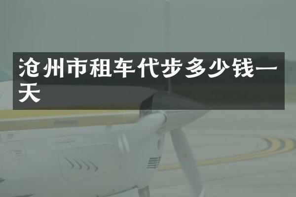 沧州市租车代步多少钱一天