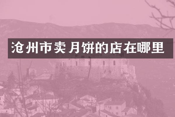 沧州市卖月饼的店在哪里