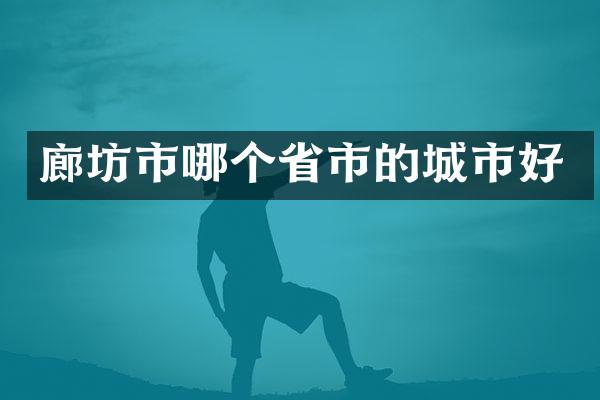 廊坊市哪个省市的城市好