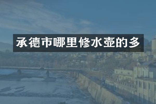 承德市哪里修水壶的多