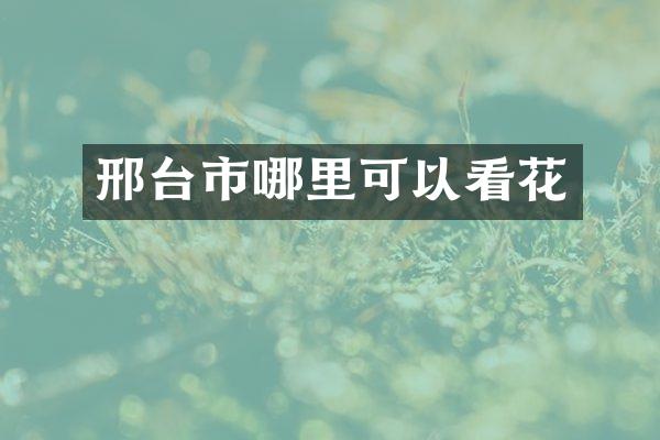 邢台市哪里可以看花