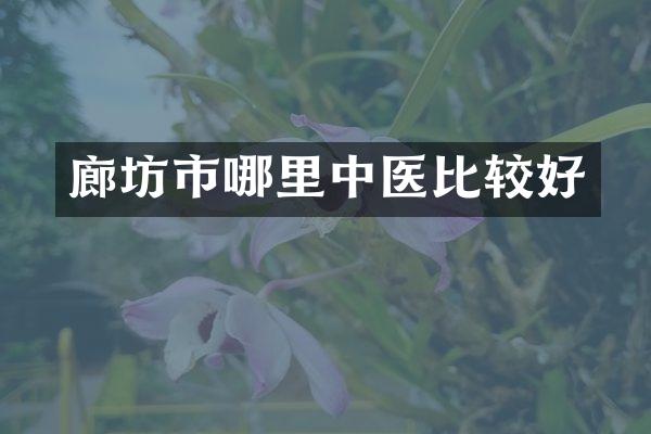 廊坊市哪里中医比较好