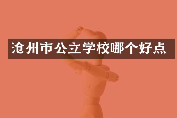 沧州市公立学校哪个好点