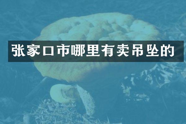 张家口市哪里有卖吊坠的