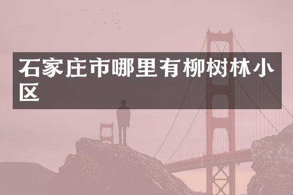 石家庄市哪里有柳树林小区