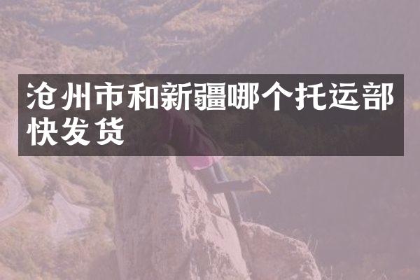 沧州市和新疆哪个托运部快发货