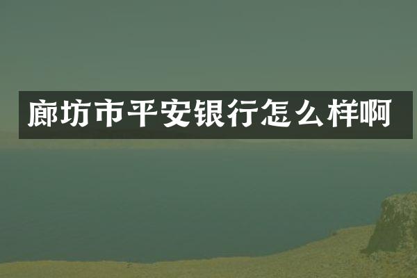 廊坊市平安银行怎么样啊