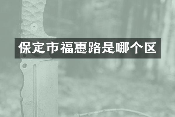 保定市福惠路是哪个区