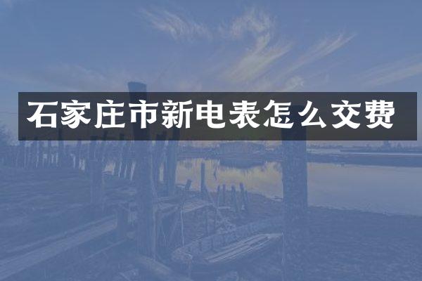 石家庄市新电表怎么交费