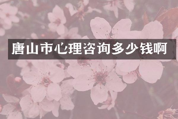 唐山市心理咨询多少钱啊