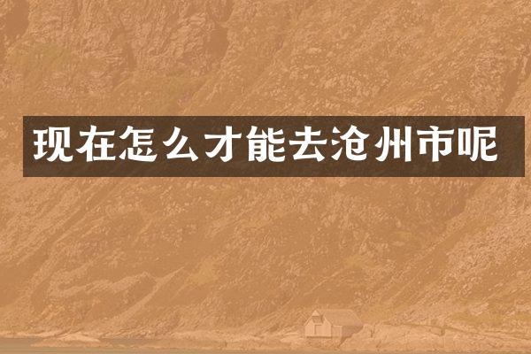 现在怎么才能去沧州市呢