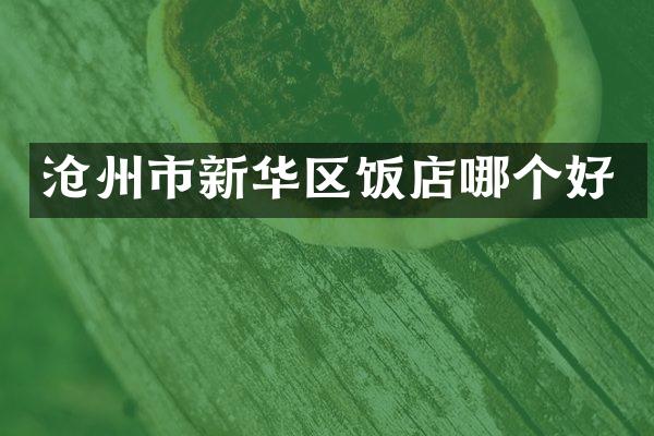 沧州市新华区饭店哪个好