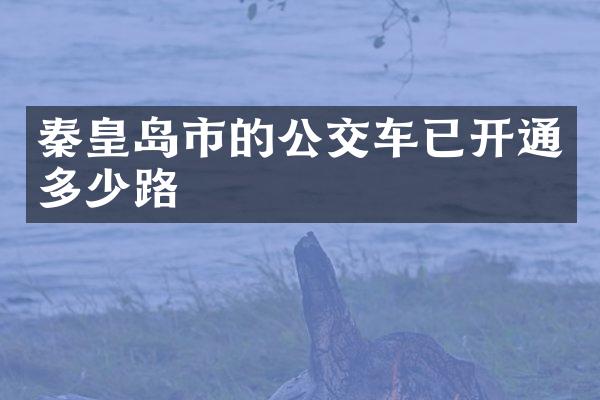 秦皇岛市的公交车已开通多少路