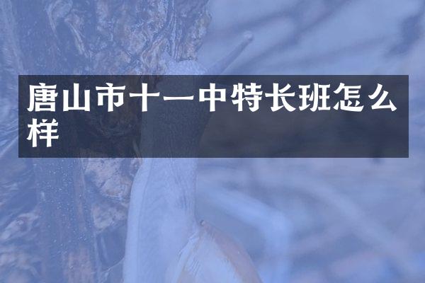 唐山市十一中特长班怎么样
